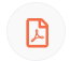 File Icon